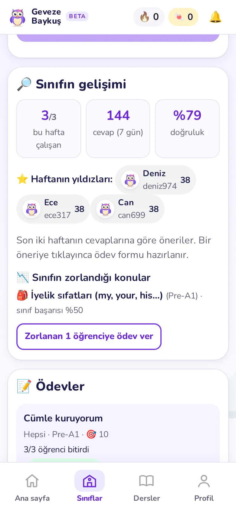 Sınıf panosu. Örnek sınıfın öğrenci ve çalışma görünümü.
