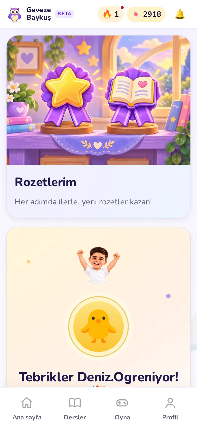 Rozetlerini keşfet