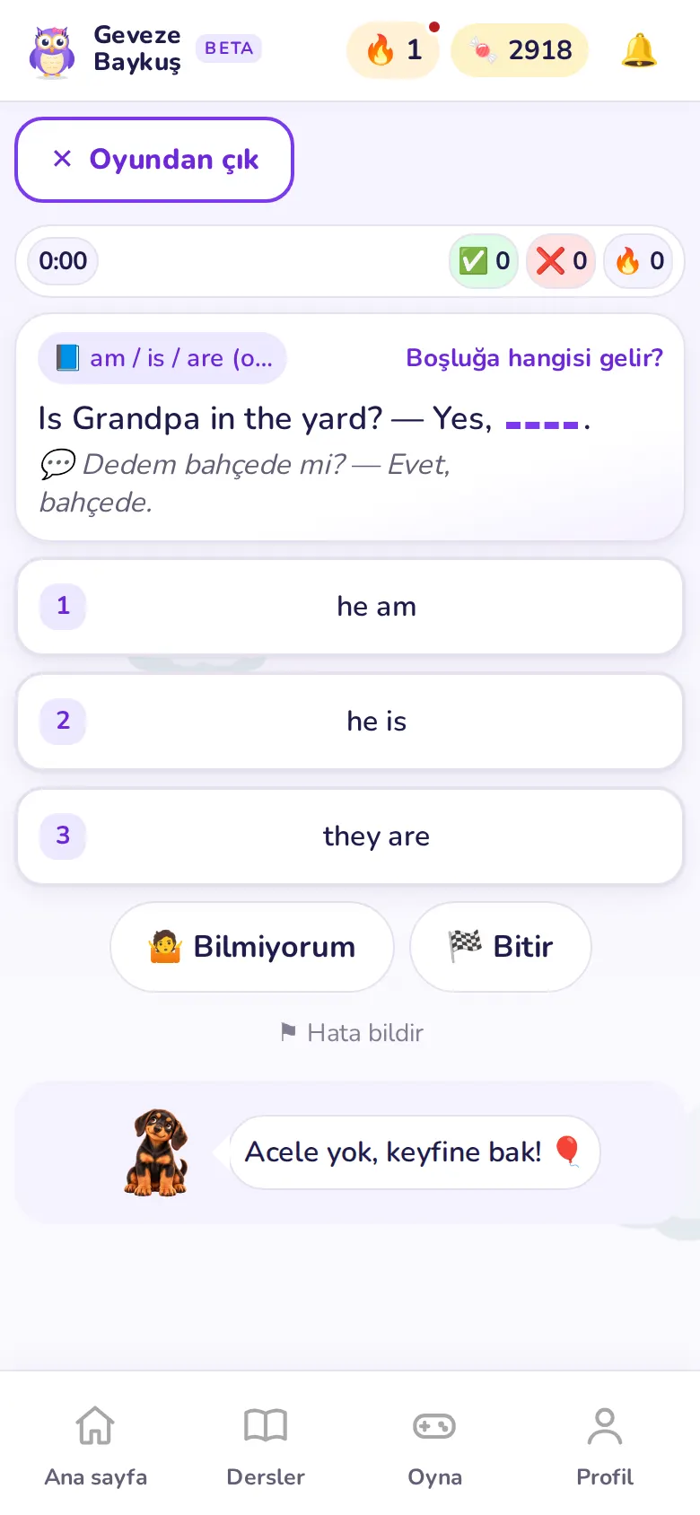 Soruyla pekiştir