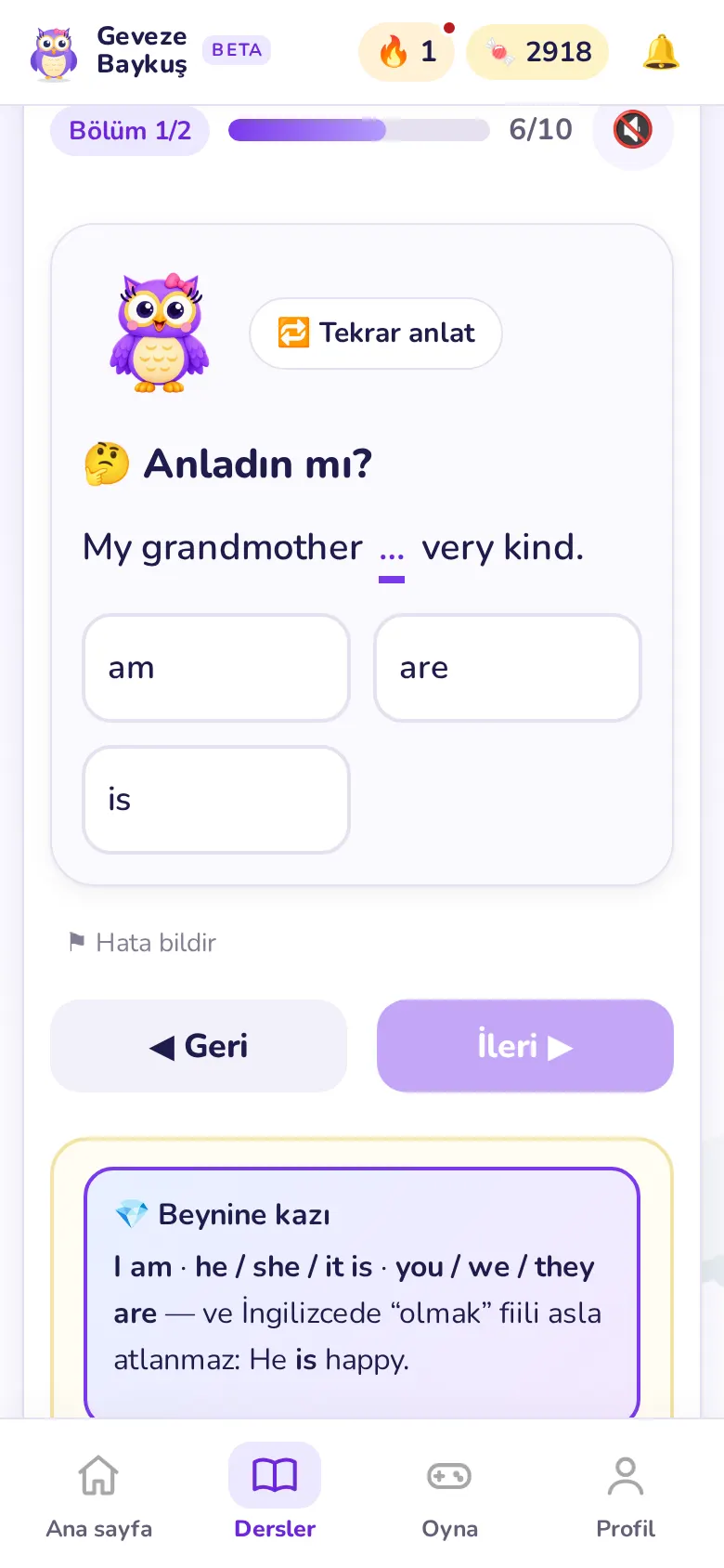 Anladığını dene
