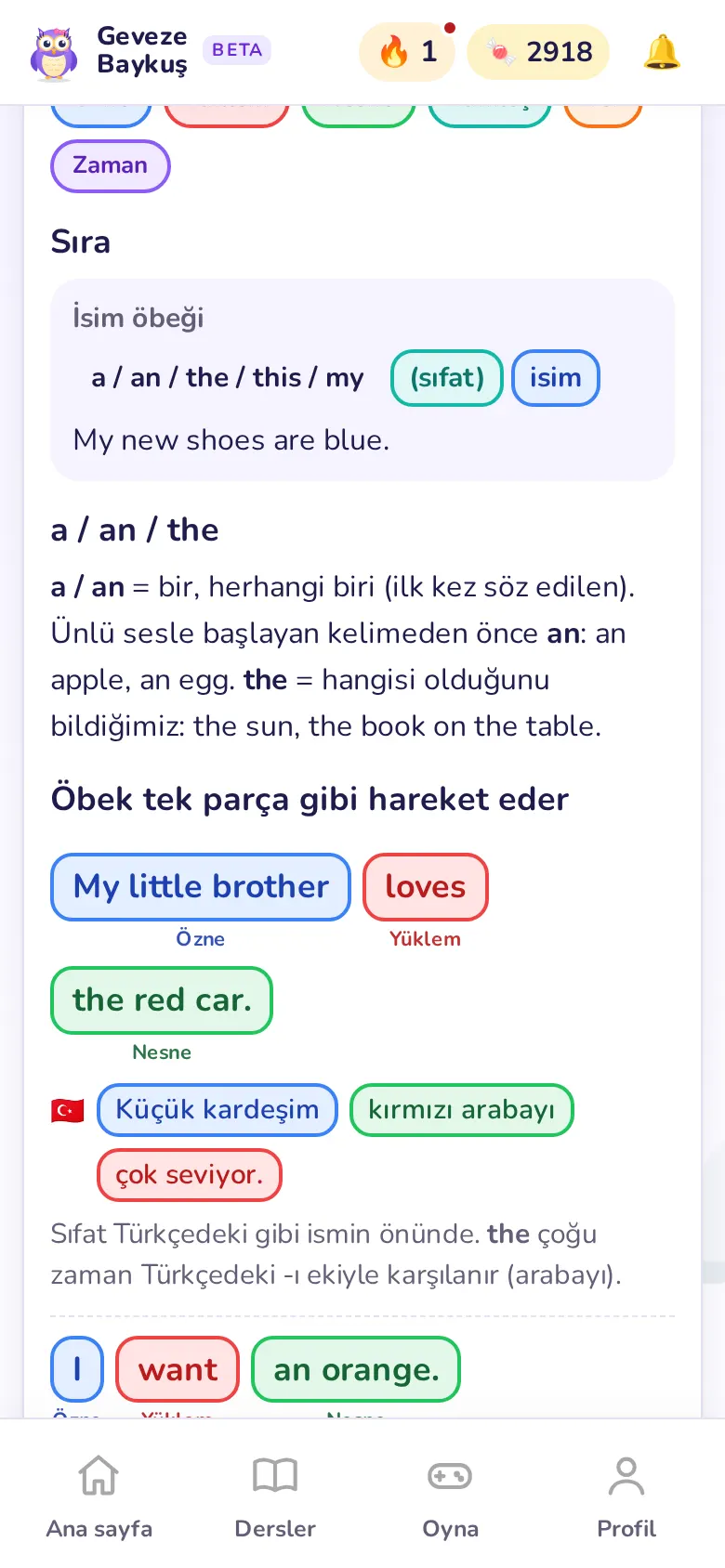 Cümle Yapısı neyi görünür kılar?