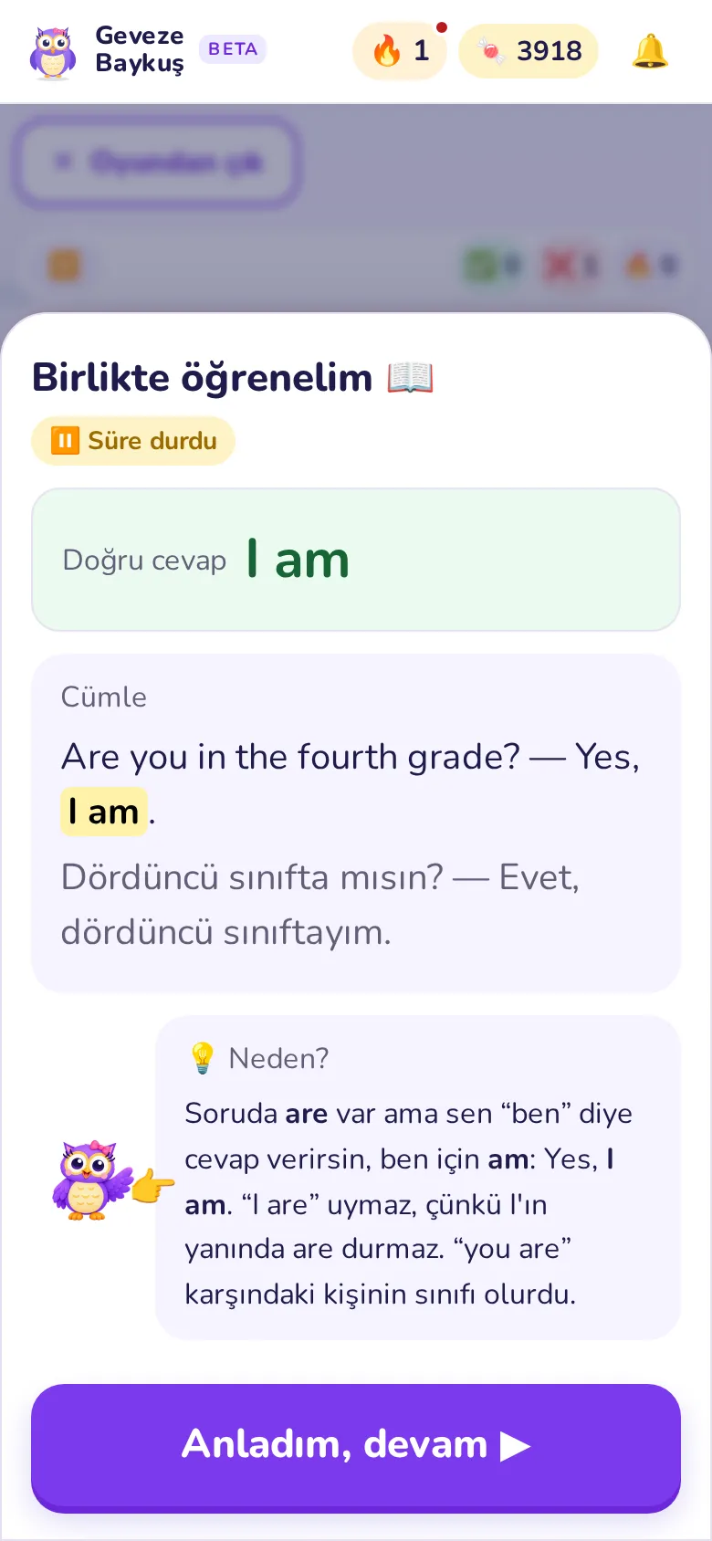 Yanlışın nedenini gör